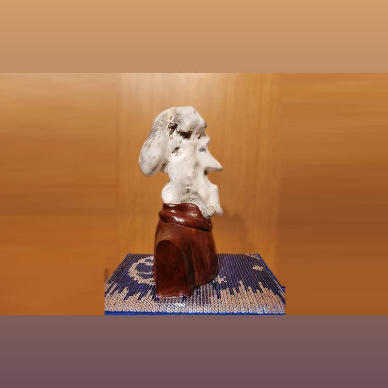蛋白石