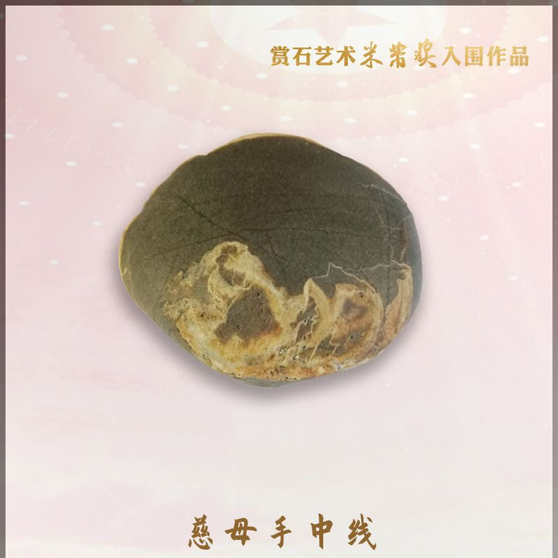 慈母手中线 · 待考