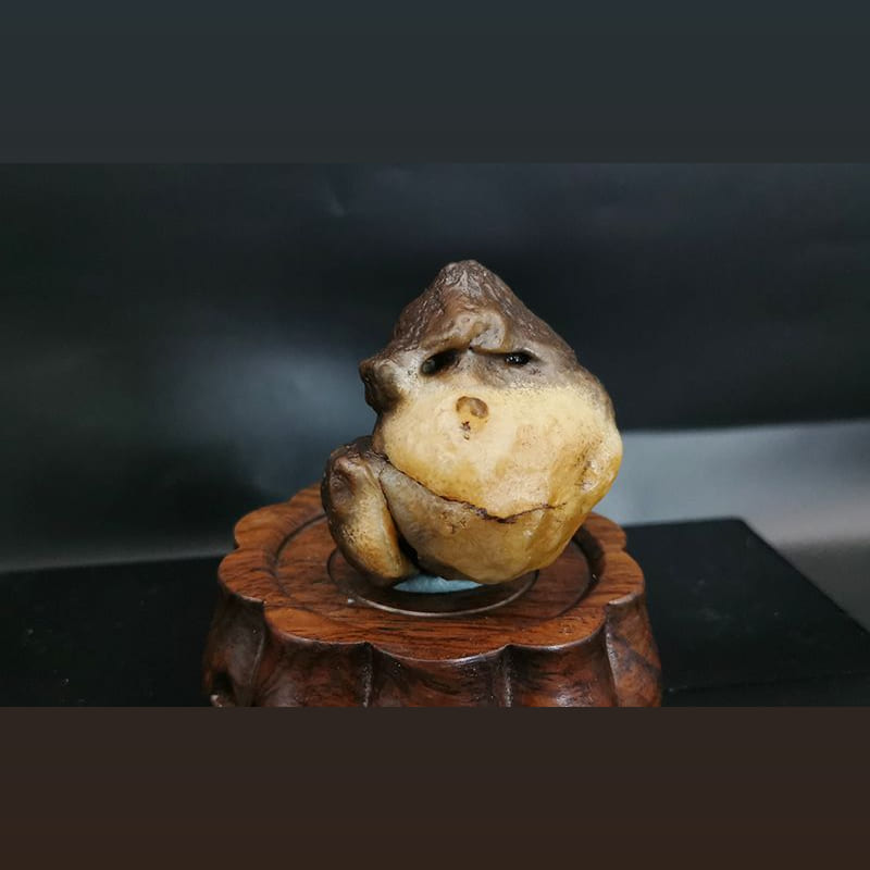 大嘴猴 · 戈壁石