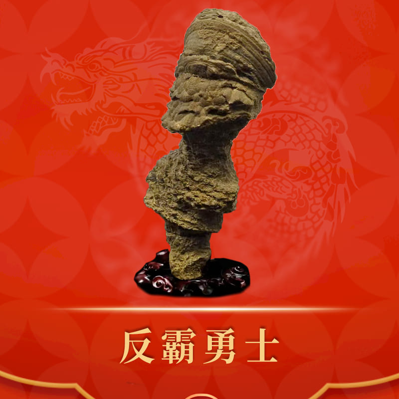 反霸勇士 · 化石