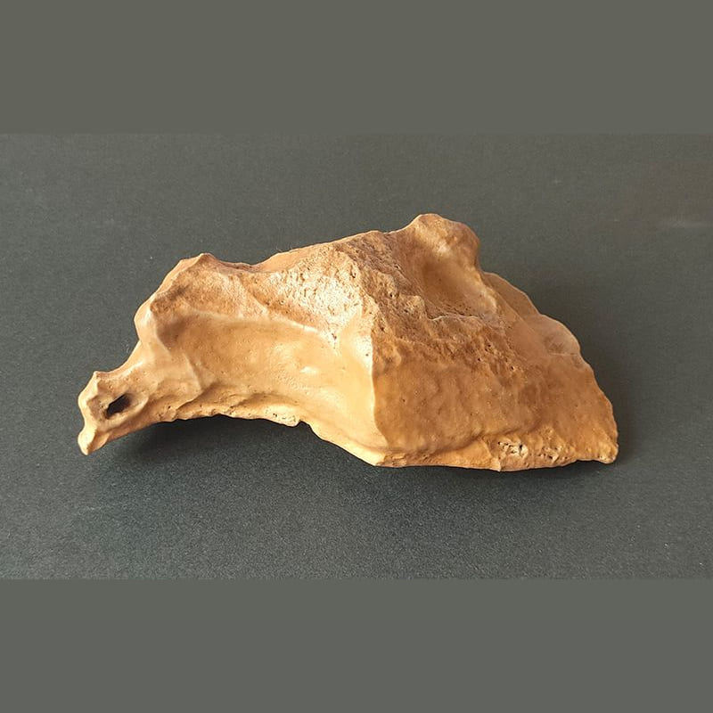飞翔的鸟 · 沙漠漆