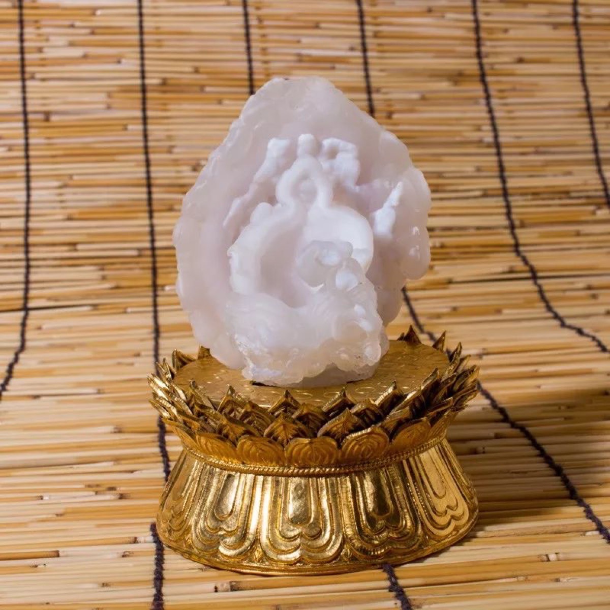 玛瑙花
