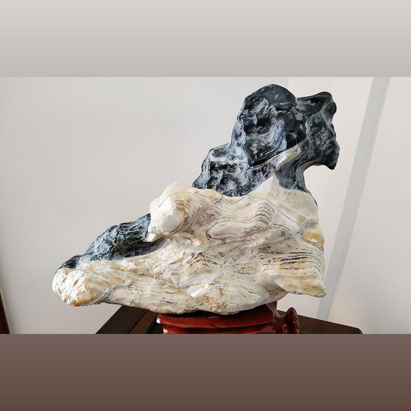 黑白道鸟 · 灵璧石