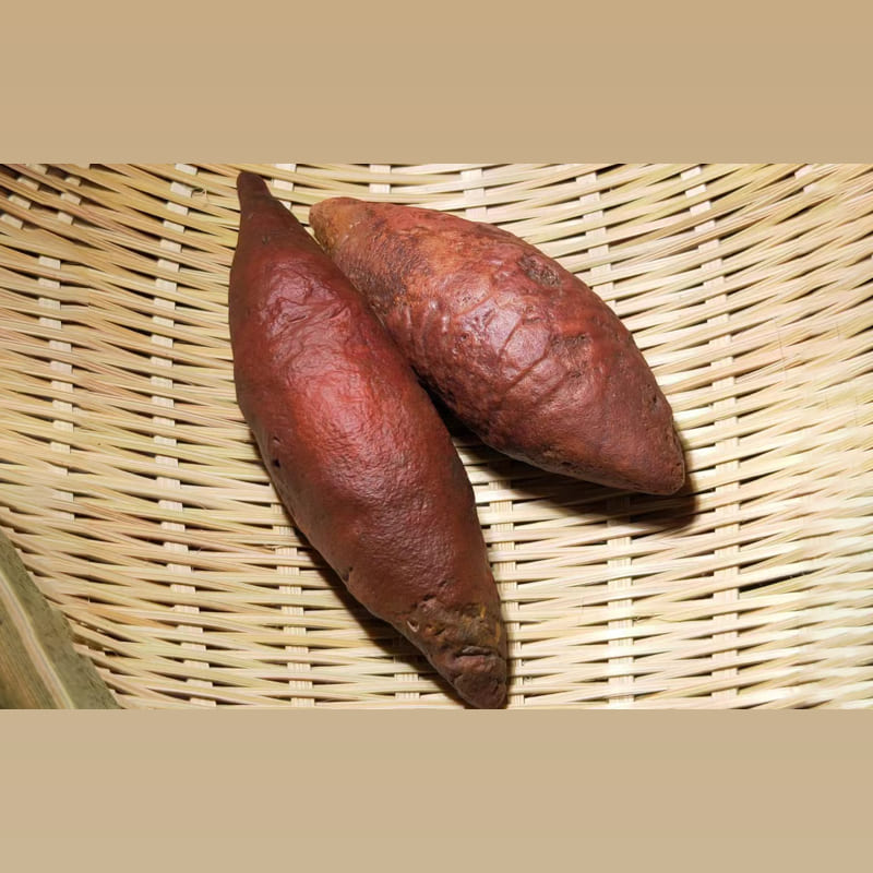 红薯 · 戈壁石