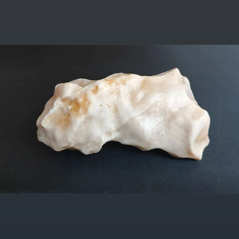 虎虎生威 · 沙漠漆