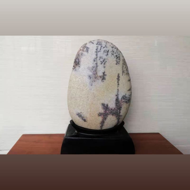 剑兰贺寿 · 长江石