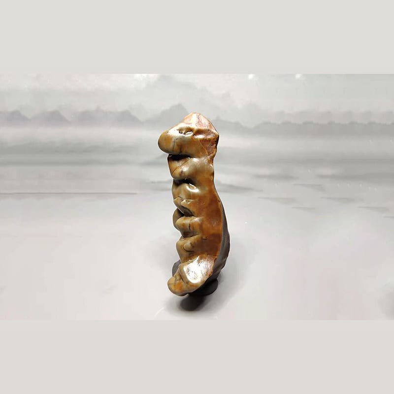 阿拉善戈壁石