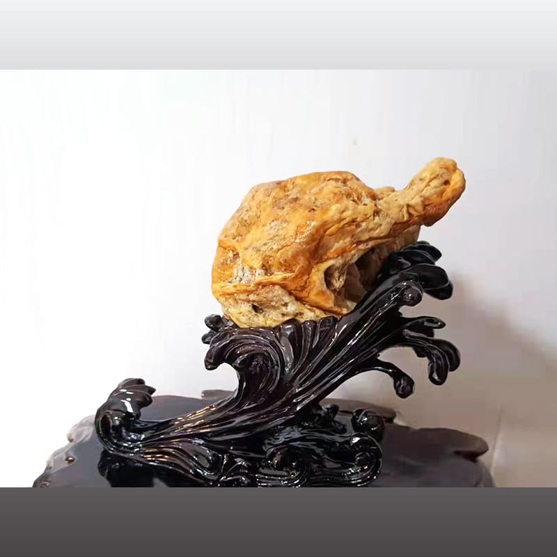 金龟送福 · 黄腊石筋腊