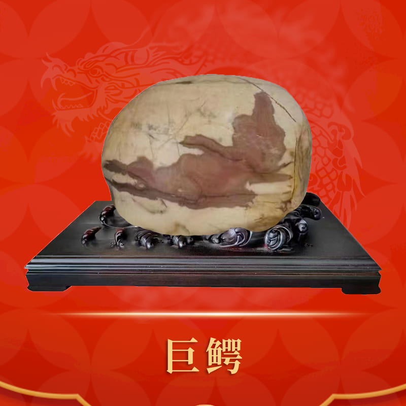 巨鳄 · 黄河石