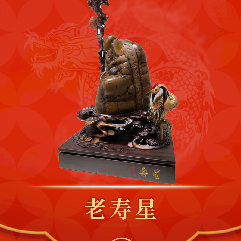老寿星 · 大化石