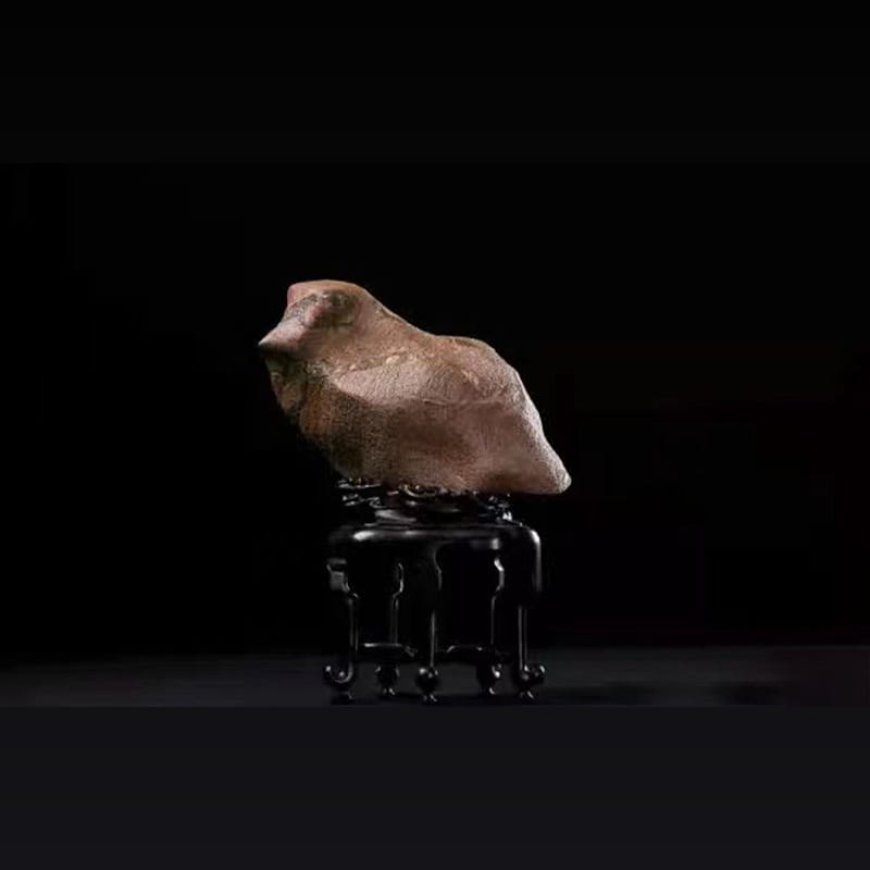 六月鹌鹑 · 蓟州叠层石