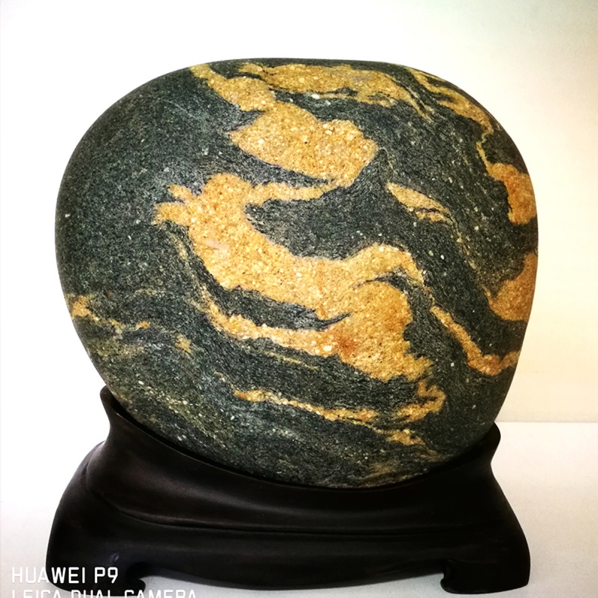 长江金纹石