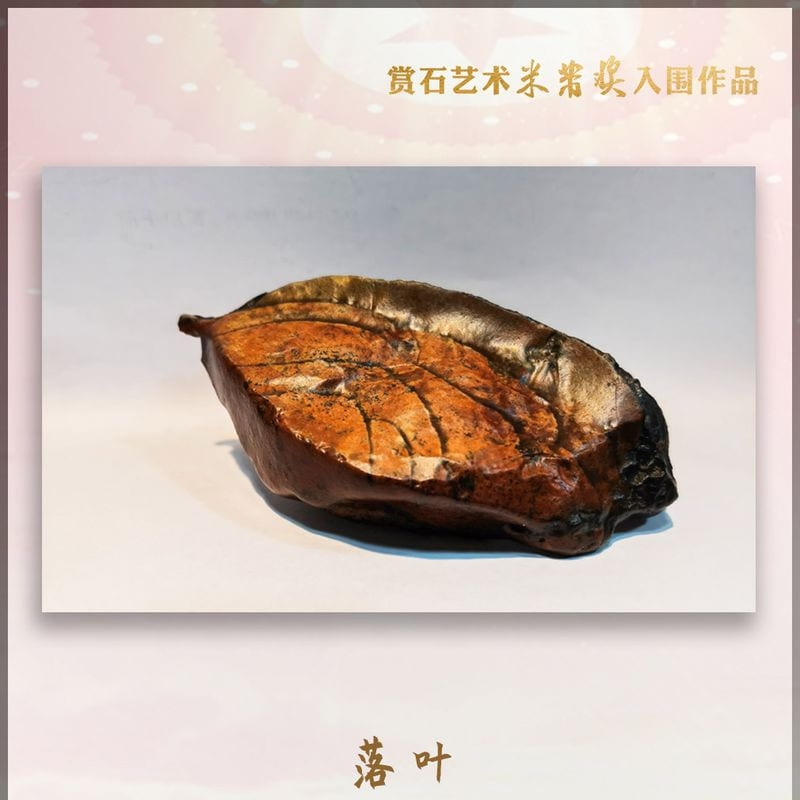 落叶 · 戈壁石