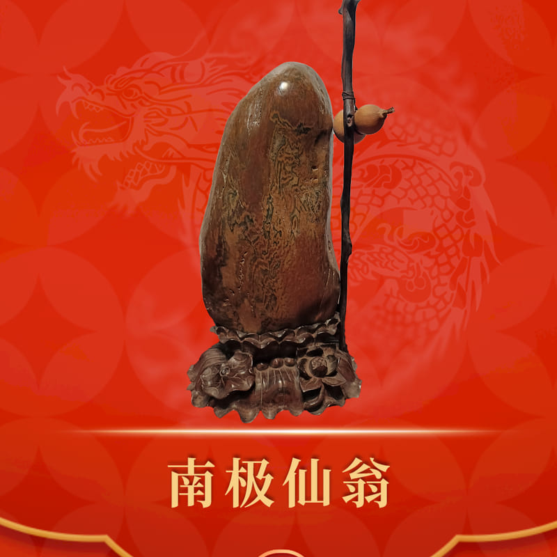 南极仙翁 · 广西三江彩卵石