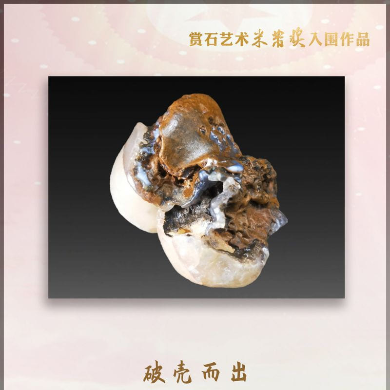 破壳而出 · 戈壁玛瑙