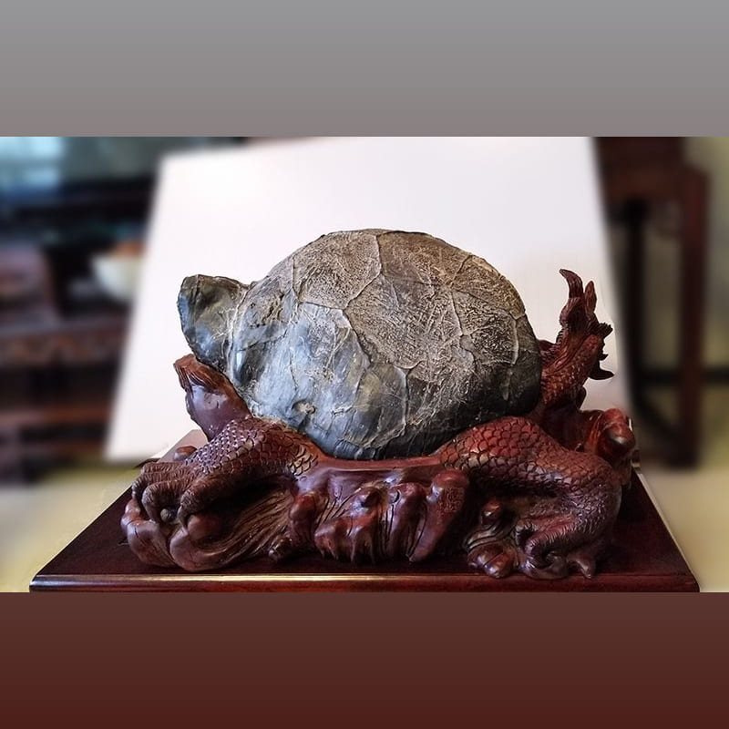 神龟 · 灵壁石