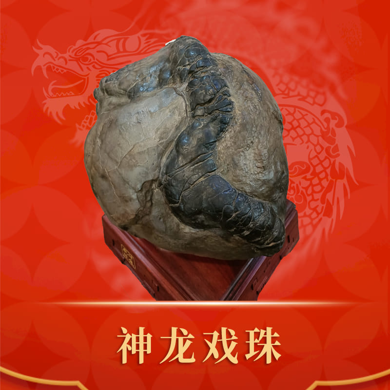 神龙戏珠 · 结核石