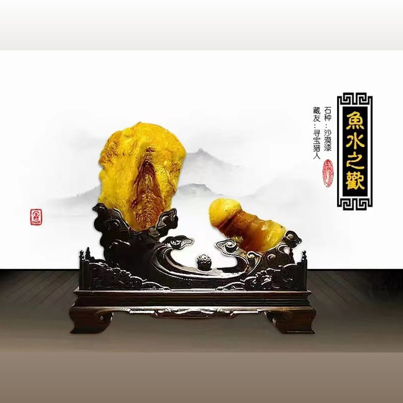 生命之源 · 新疆沙漠漆