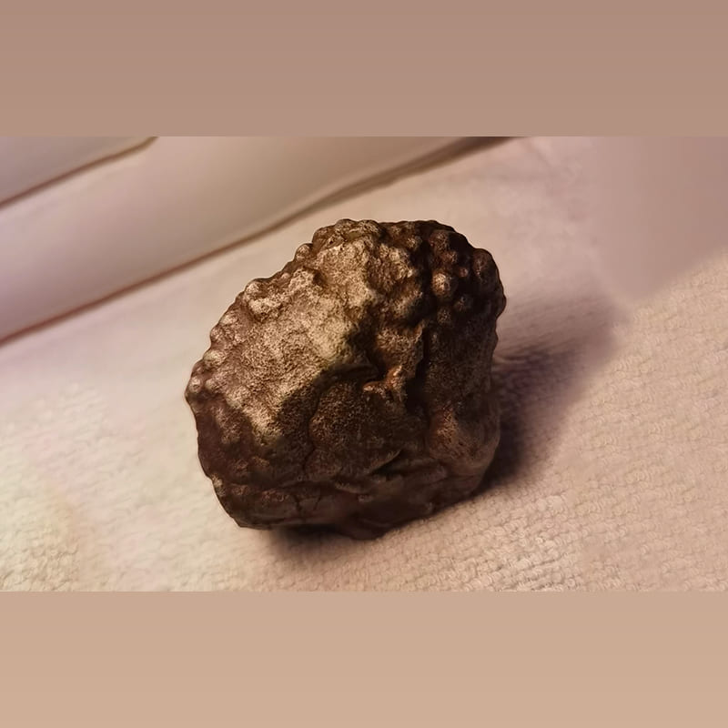 狮子吼 · 陨铜