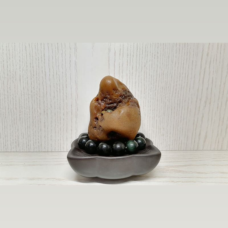 树化蜡