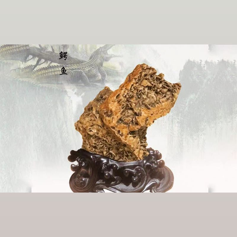 脊骨沙漠漆