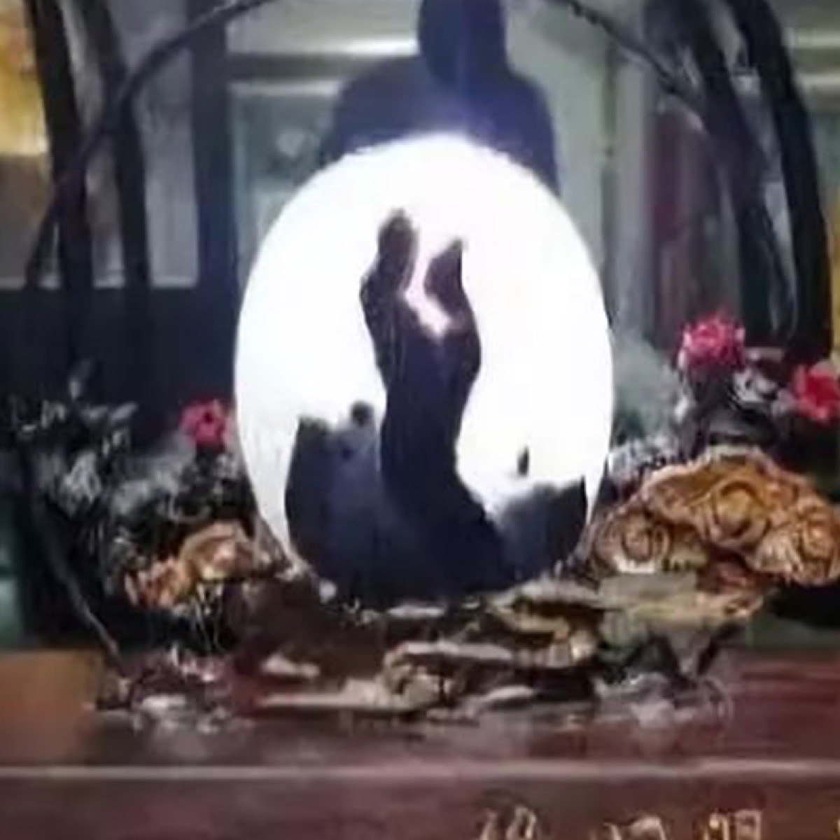 天赐良缘 · 海洋玉髓