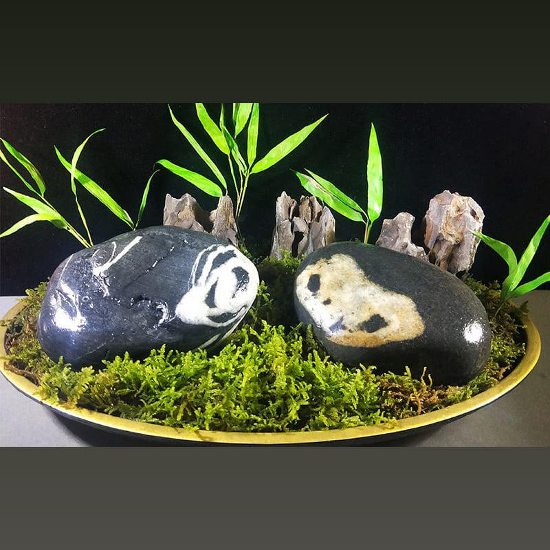 团团圆圆 · 长江石