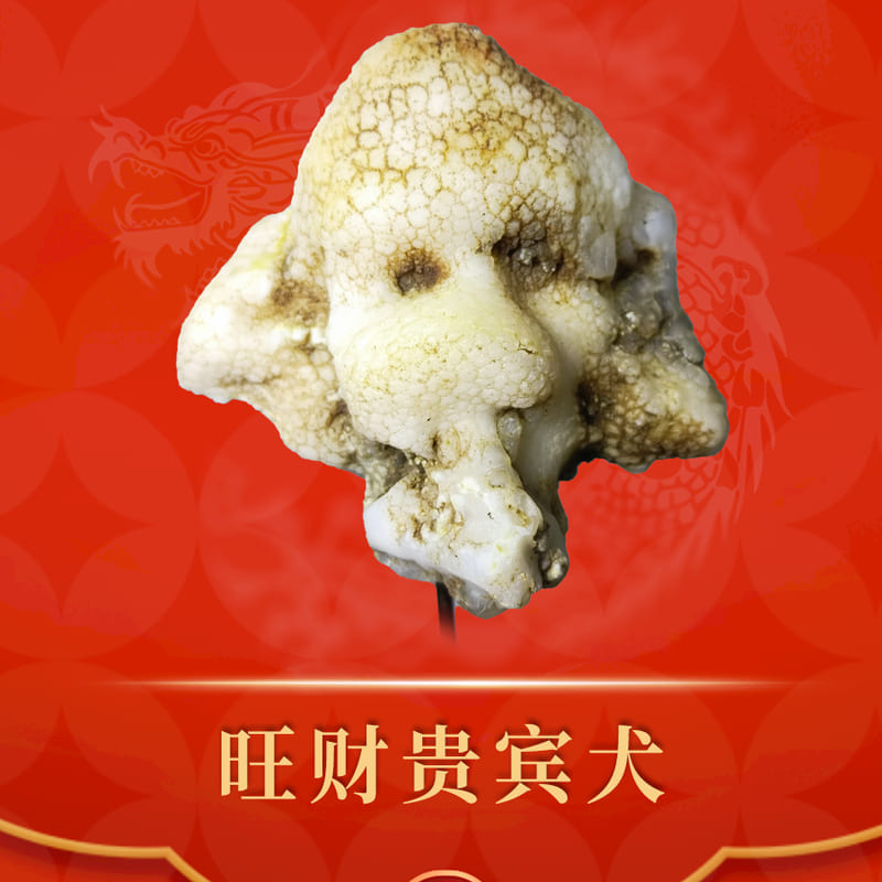 旺财贵宾犬 · 蛋白玛瑙