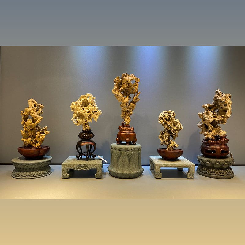 五朵金花 · 玉玲珑