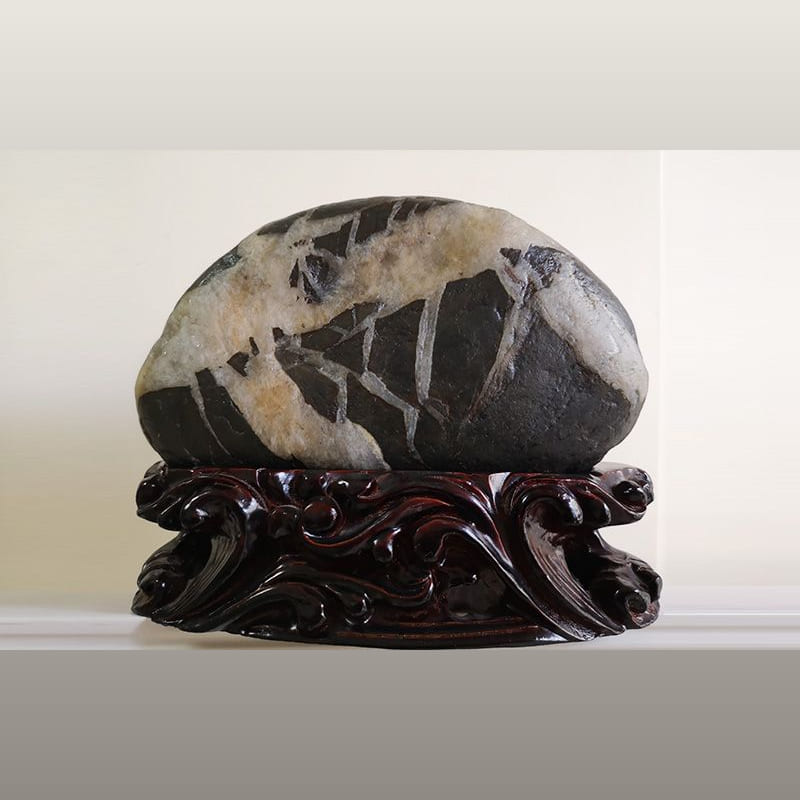 虾戏 · 长江石