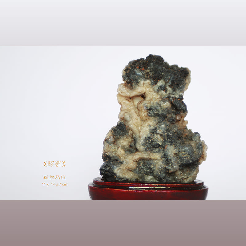 醒狮 · 内蒙沙漠玛瑙