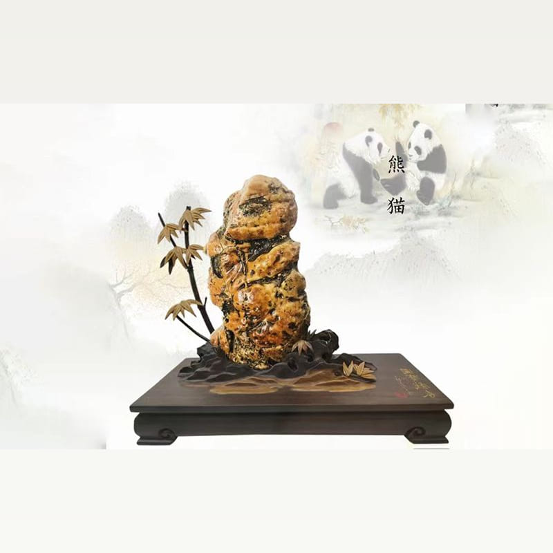 沙漠漆老皮