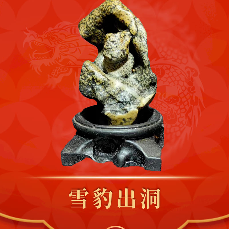 雪豹出洞 · 新疆哈密戈壁石