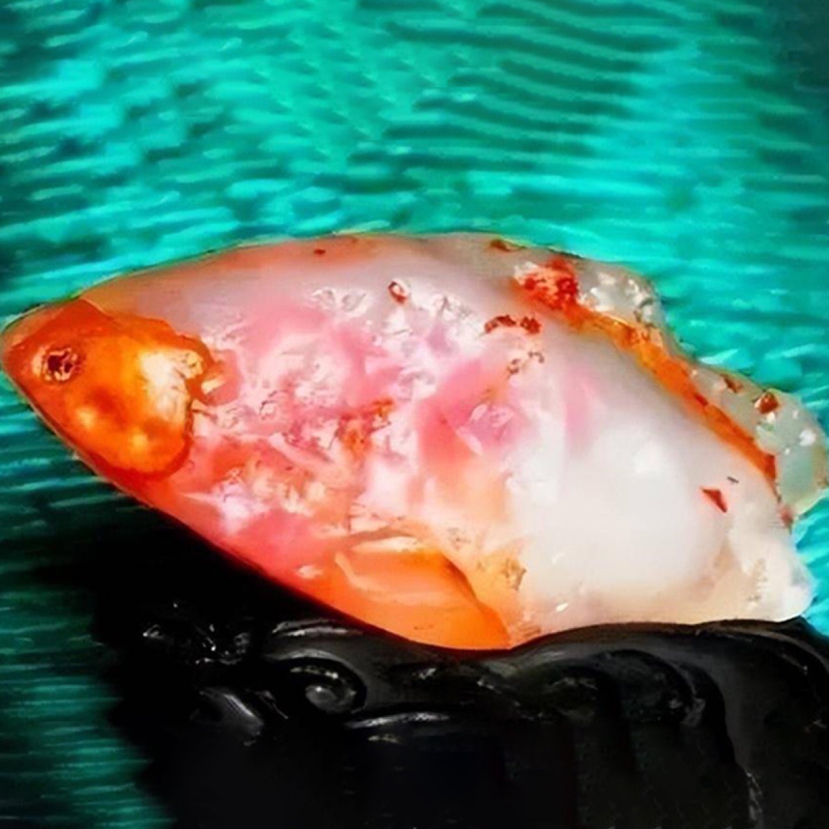 血胆金鲢 · 戈壁玛瑙