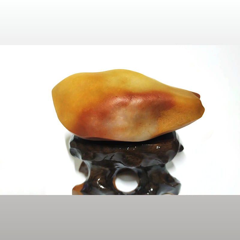 羊肉饺子 · 新疆