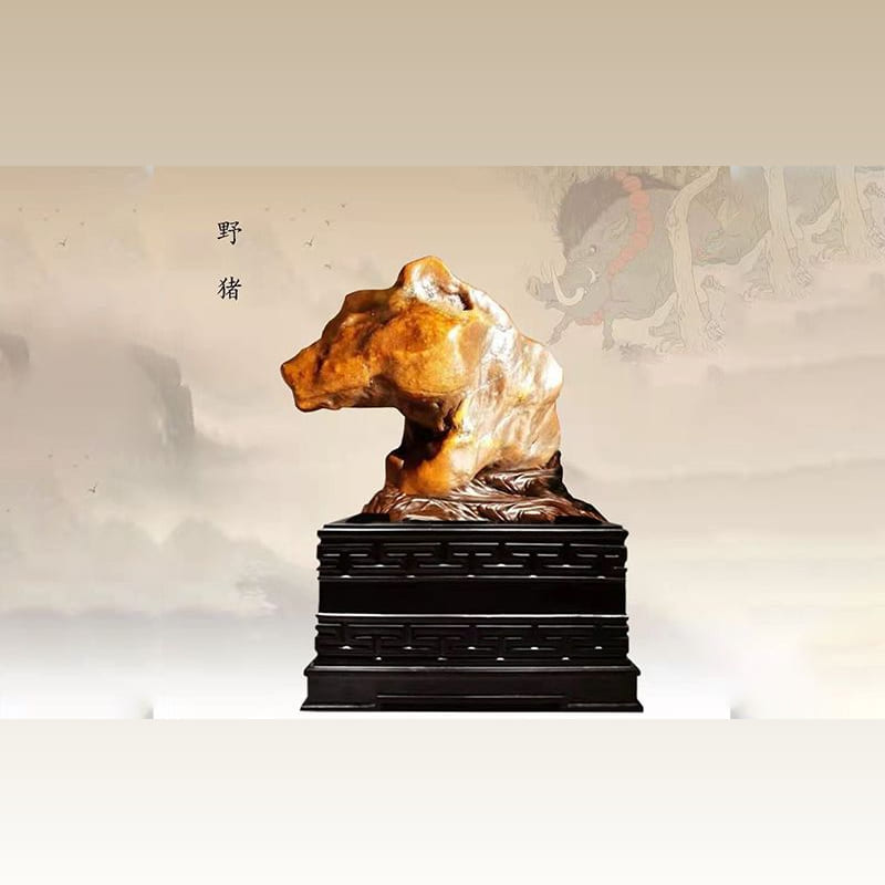 野猪 · 戈壁老皮
