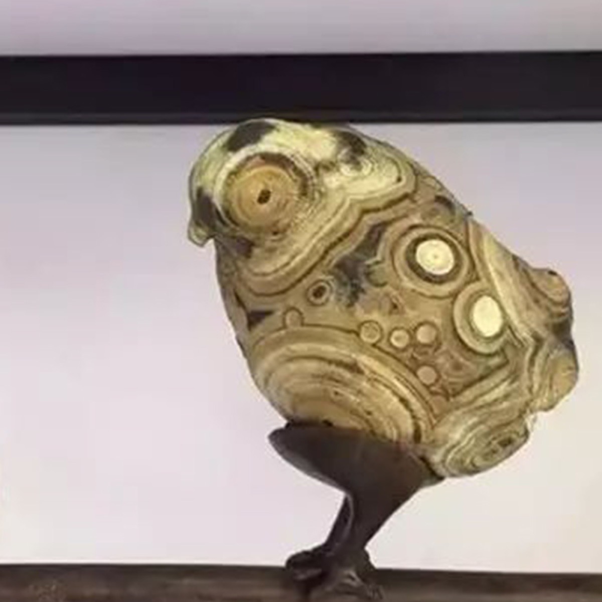金钱石
