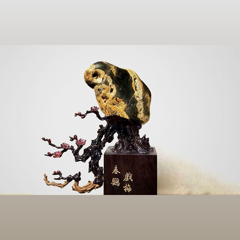 鹦鹉 · 上杭汀江璧