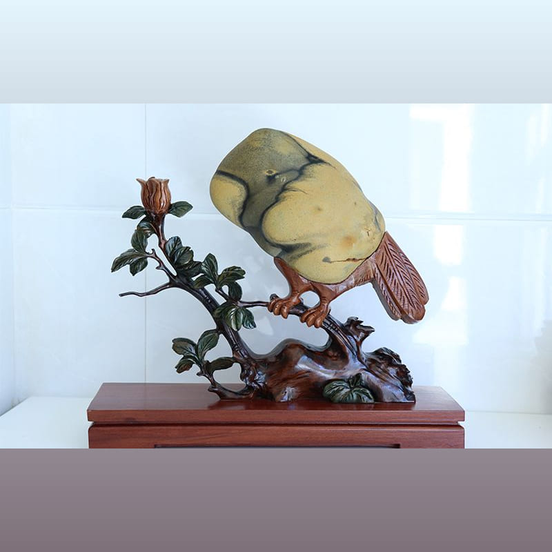 鹦鹉 · 黄河石