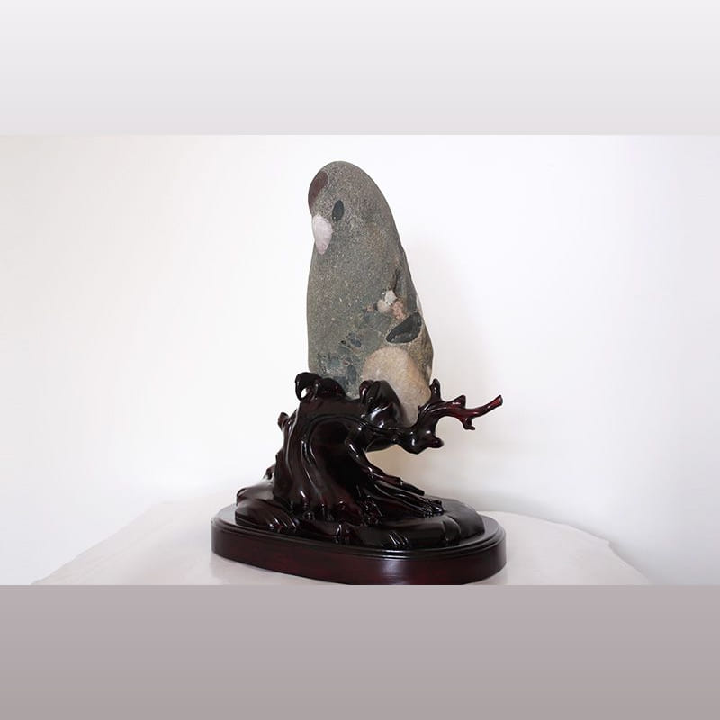 鹦鹉 · 黄河石