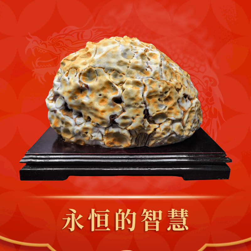 永恒的智慧 · 沙漠漆