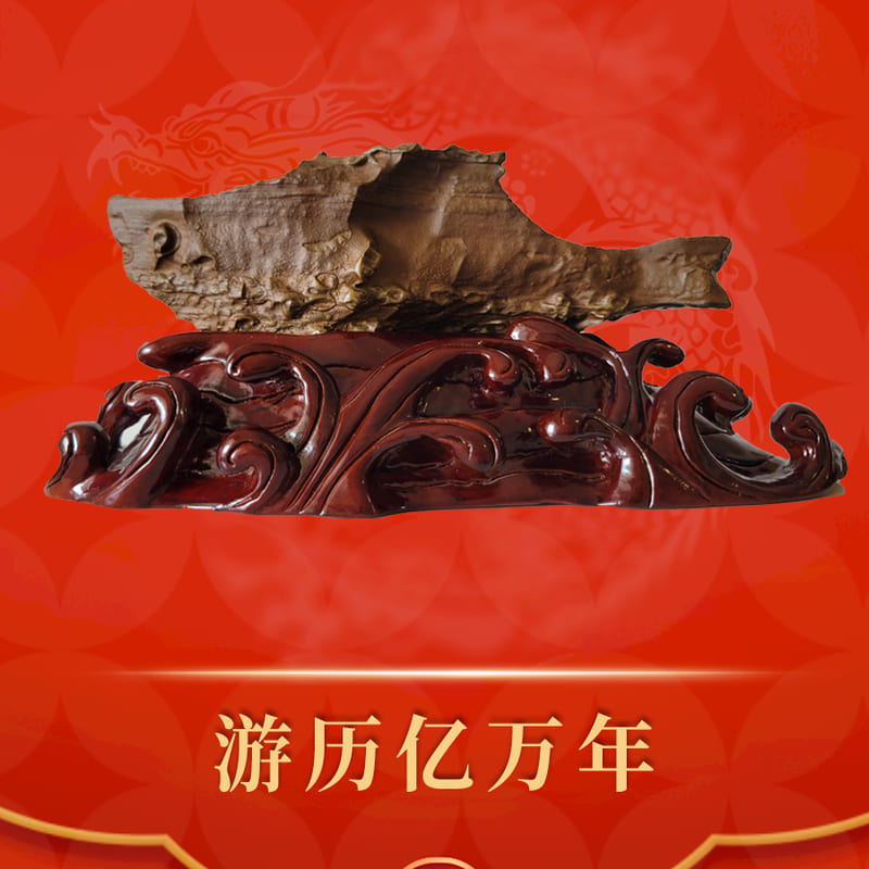 游历亿万年 · 新疆戈壁石