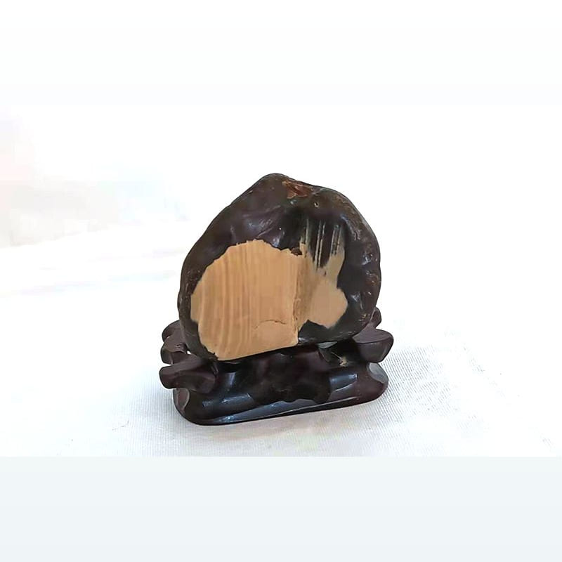 树化玉