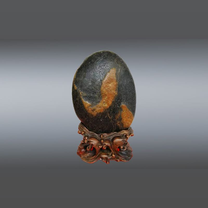 鱼跃 · 金纹石