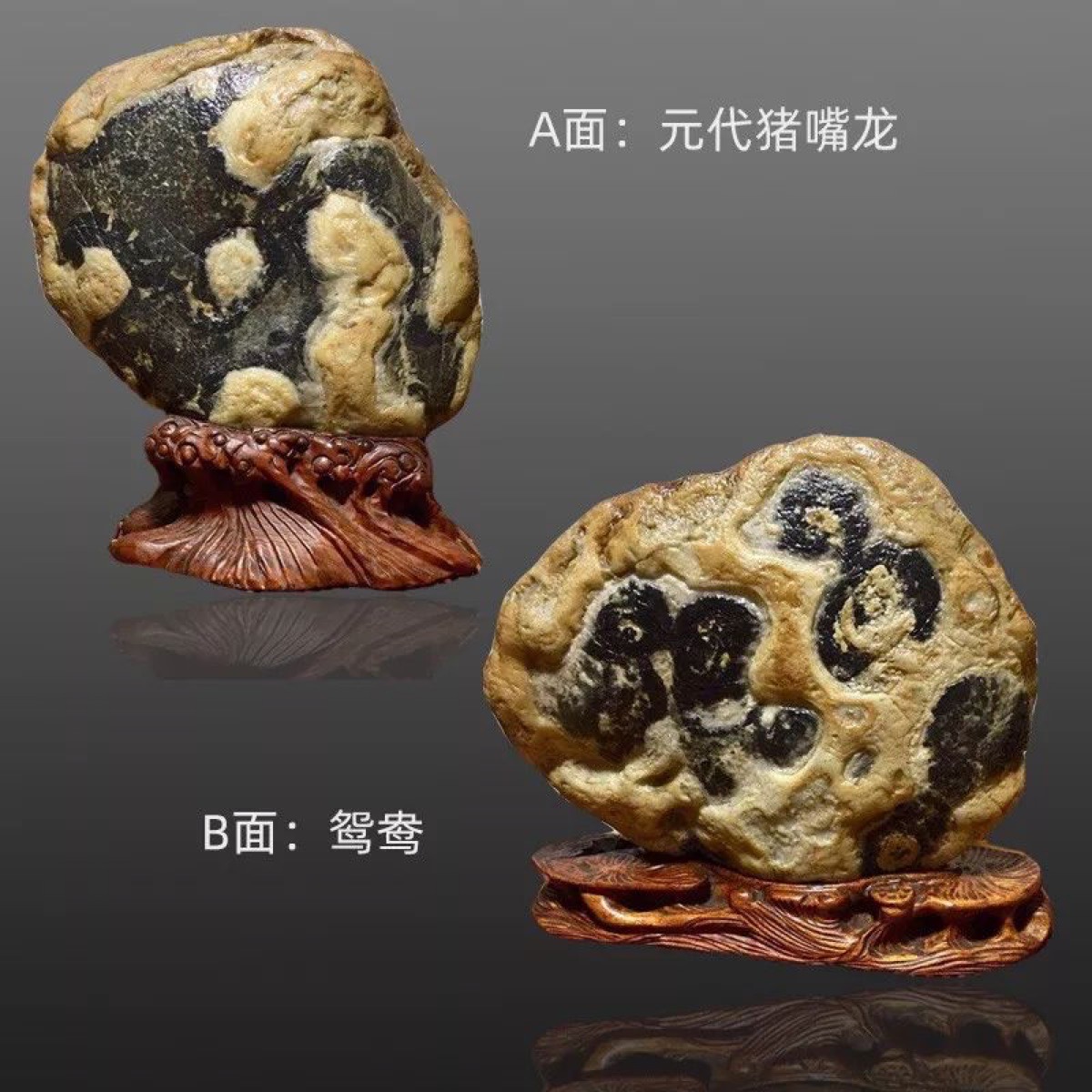 元代猪嘴龙 · 唐河彩玉