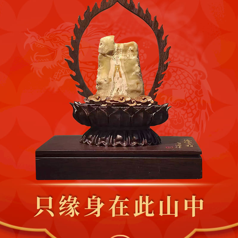 只缘身在此山中 · 戈壁石