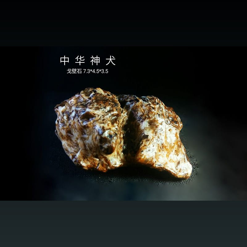 中华神犬（田园犬） · 戈壁石